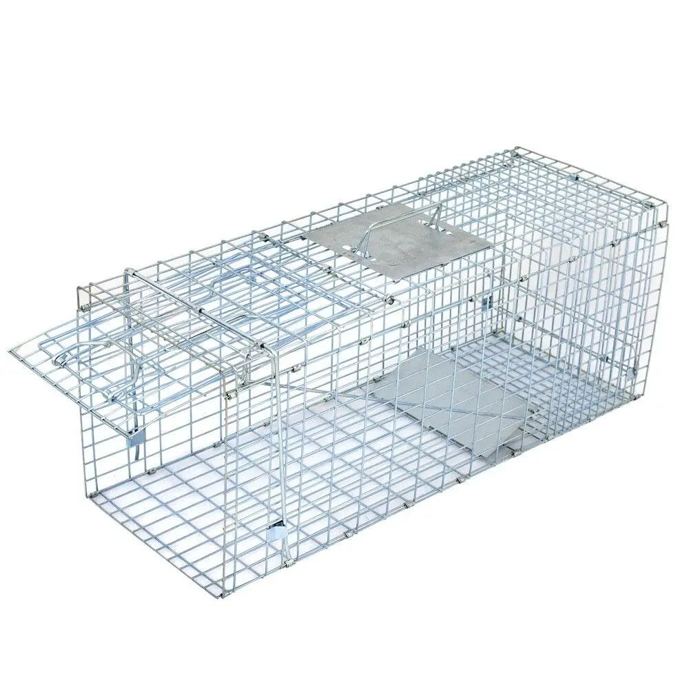 Heavy Duty Iron Animal Trap Cage for Rodents and Raccoons