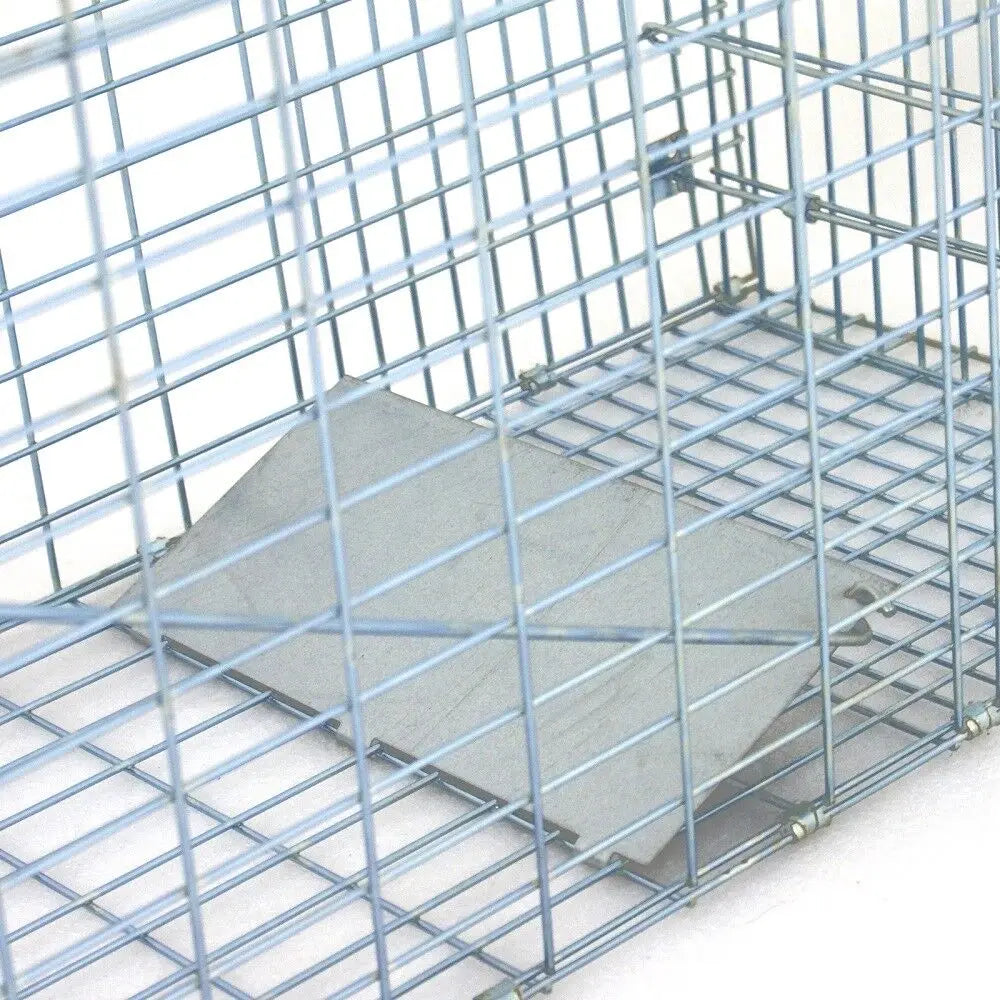 Heavy Duty Iron Animal Trap Cage for Rodents and Raccoons