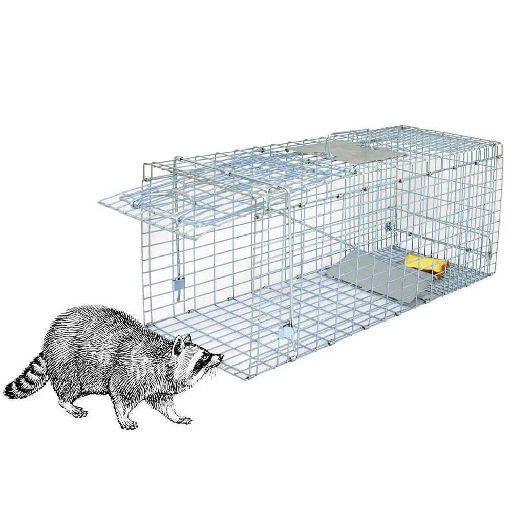 Heavy Duty Iron Animal Trap Cage for Rodents and Raccoons